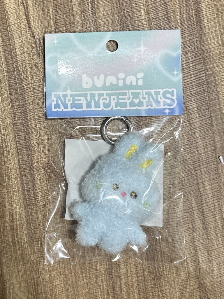 Newjeans Bunini Hyein +米妮磁帶