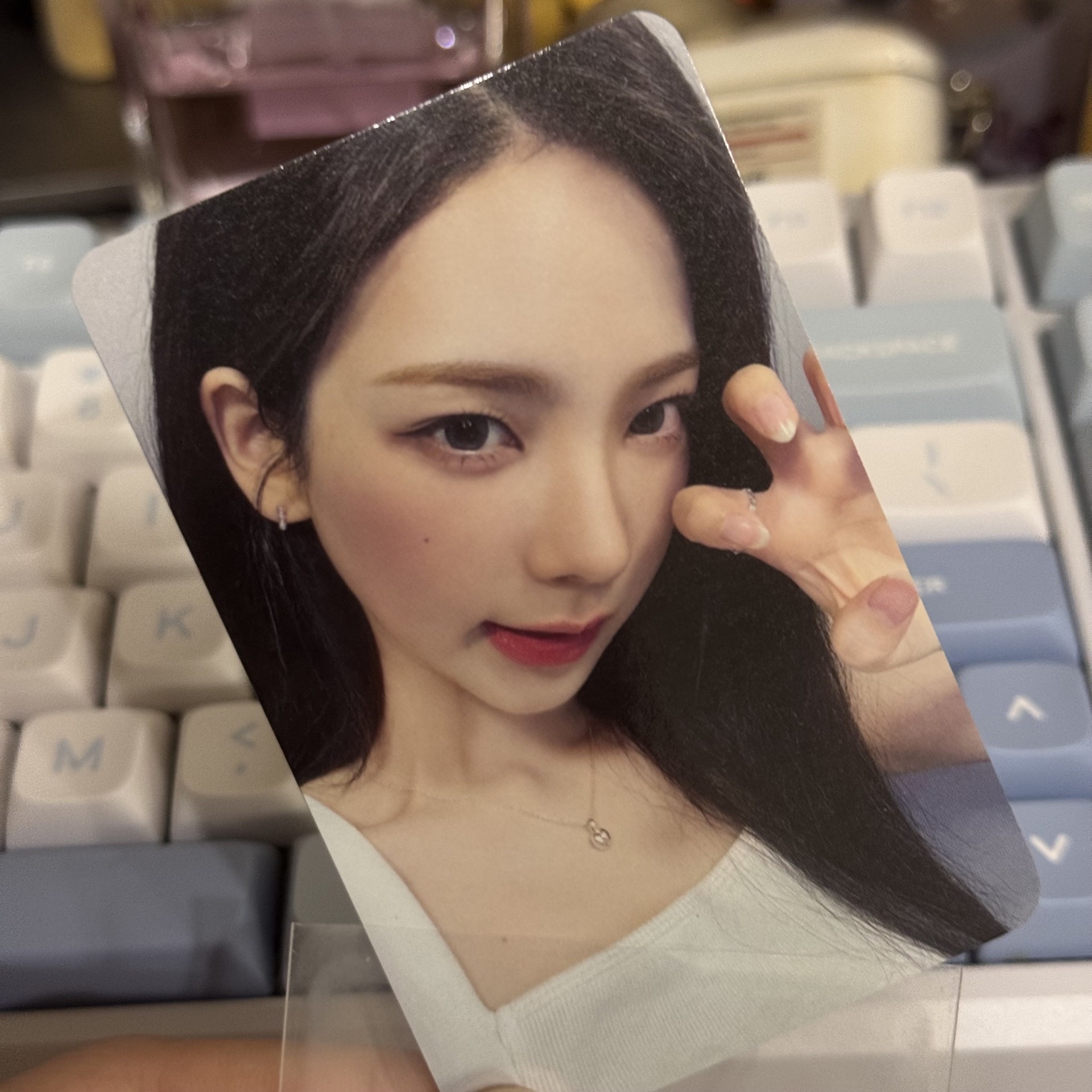 ☆現貨♪#potd展會_貓爪柚