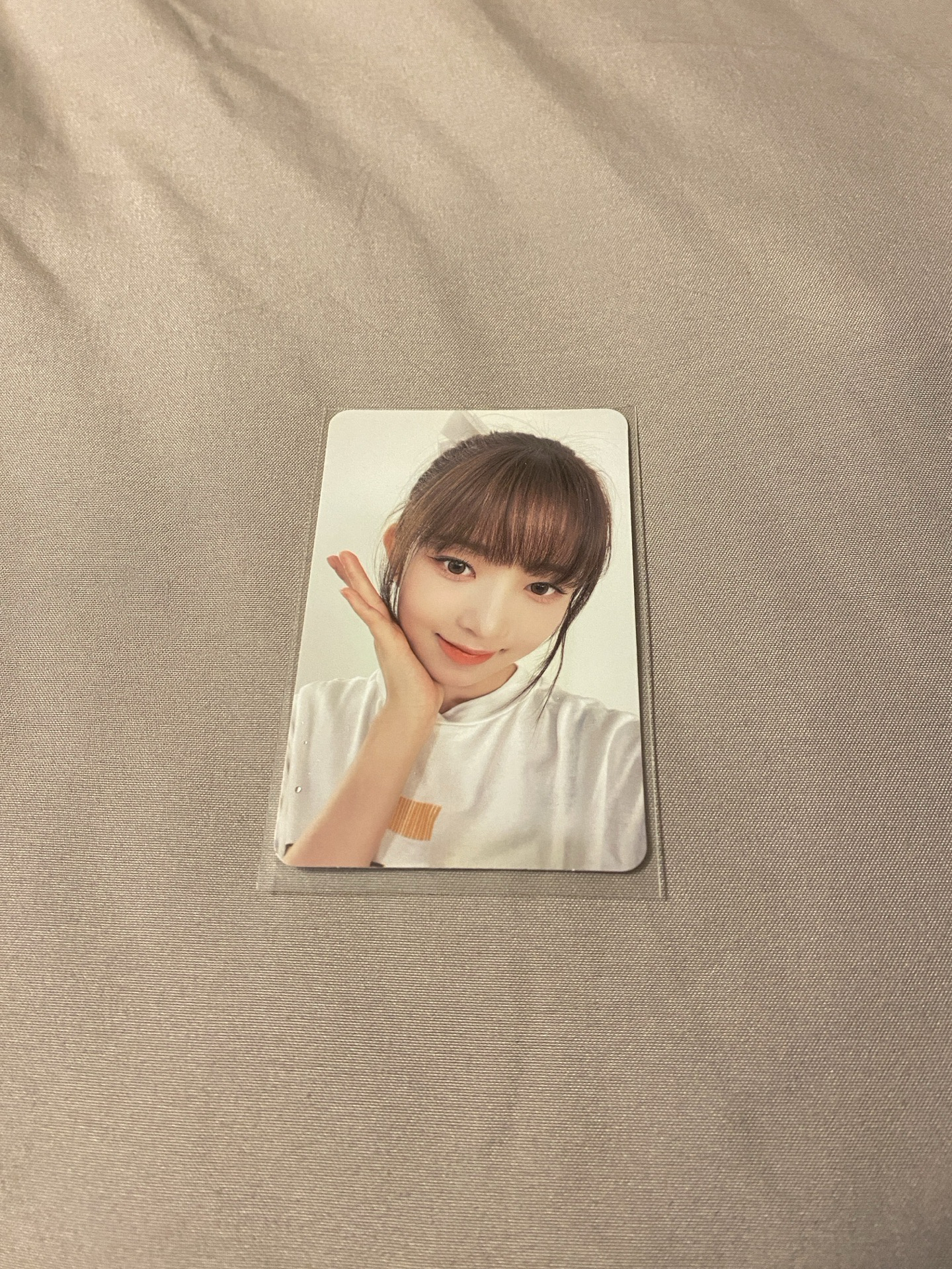 23年曆 新那拉 特典卡 怜