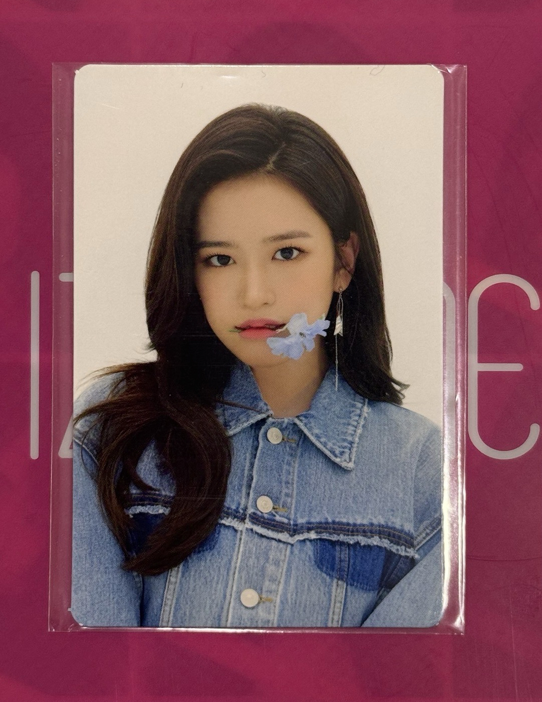 牛仔安 2021解散演唱會