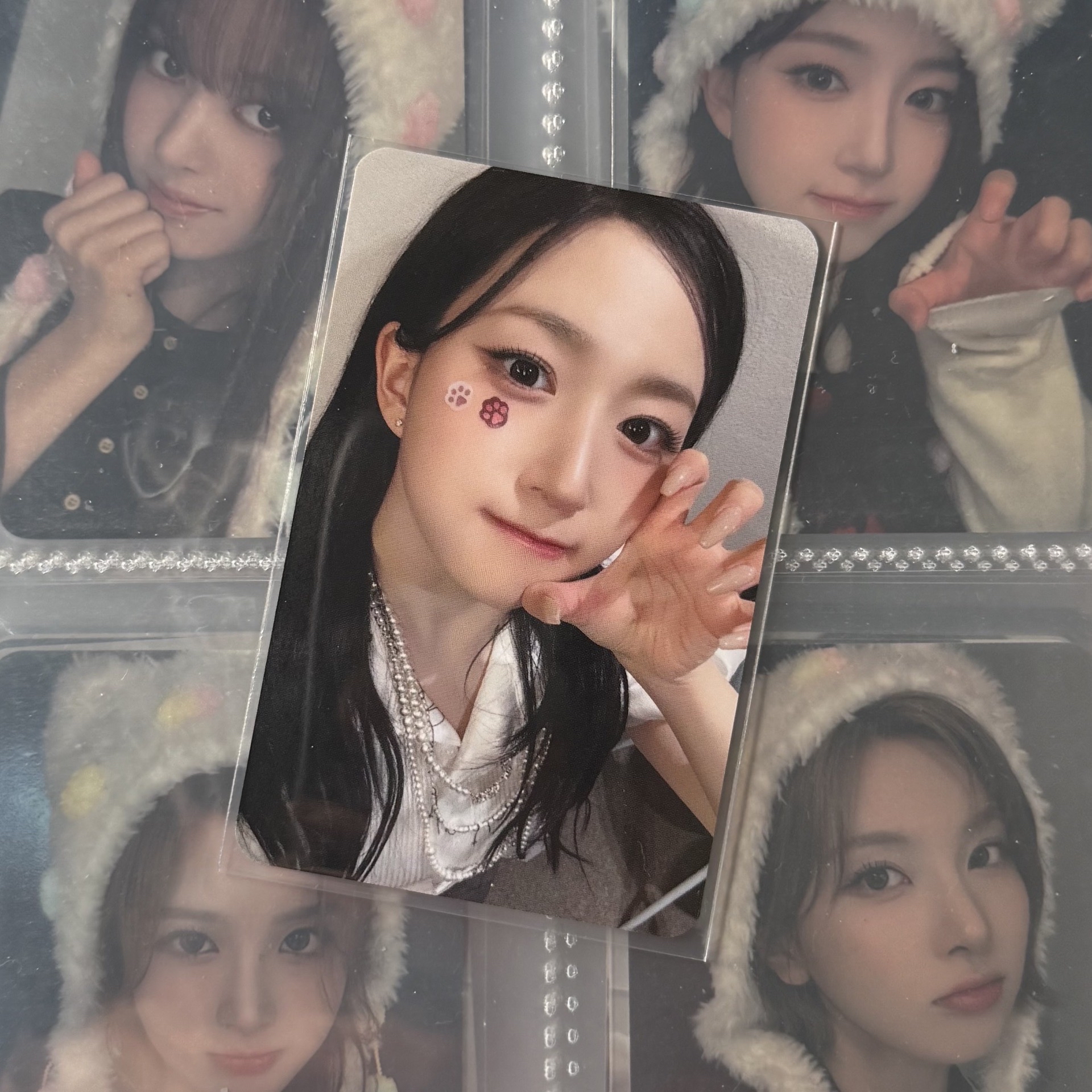 🌟正規一 ms貓貼片 嫄