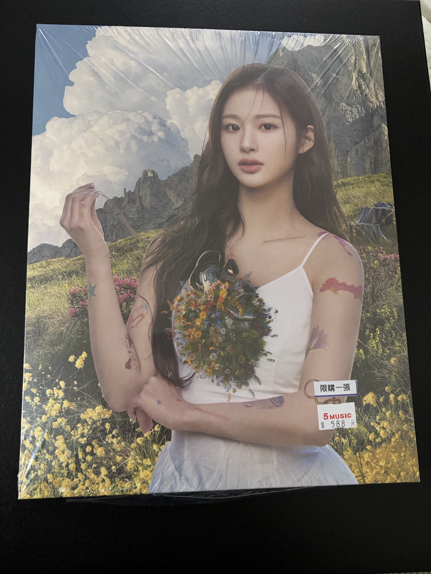 薛已拆油畫（全專）+綁限量戒指專（無戒指）