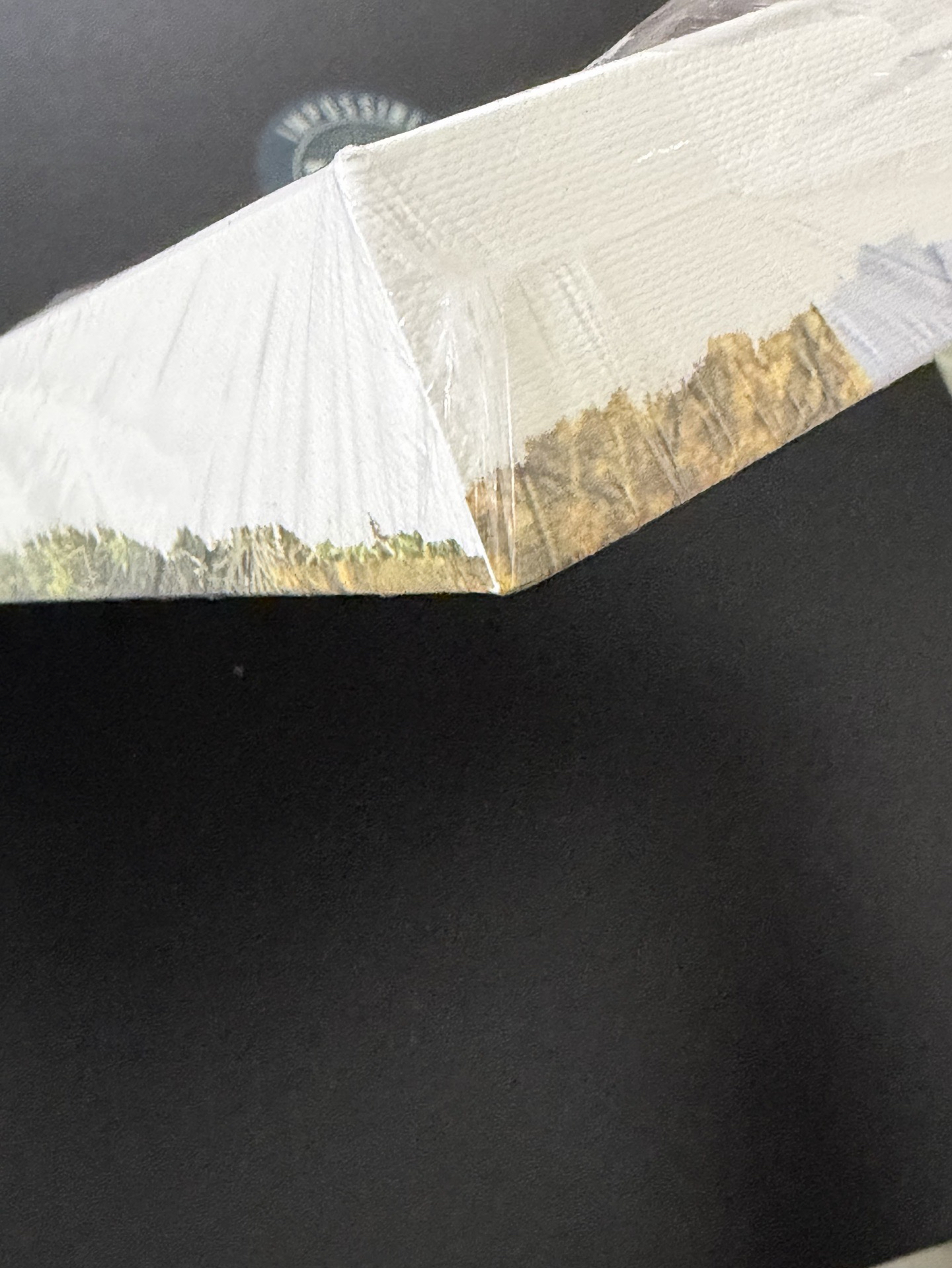 薛已拆油畫（全專）+綁限量戒指專（無戒指）