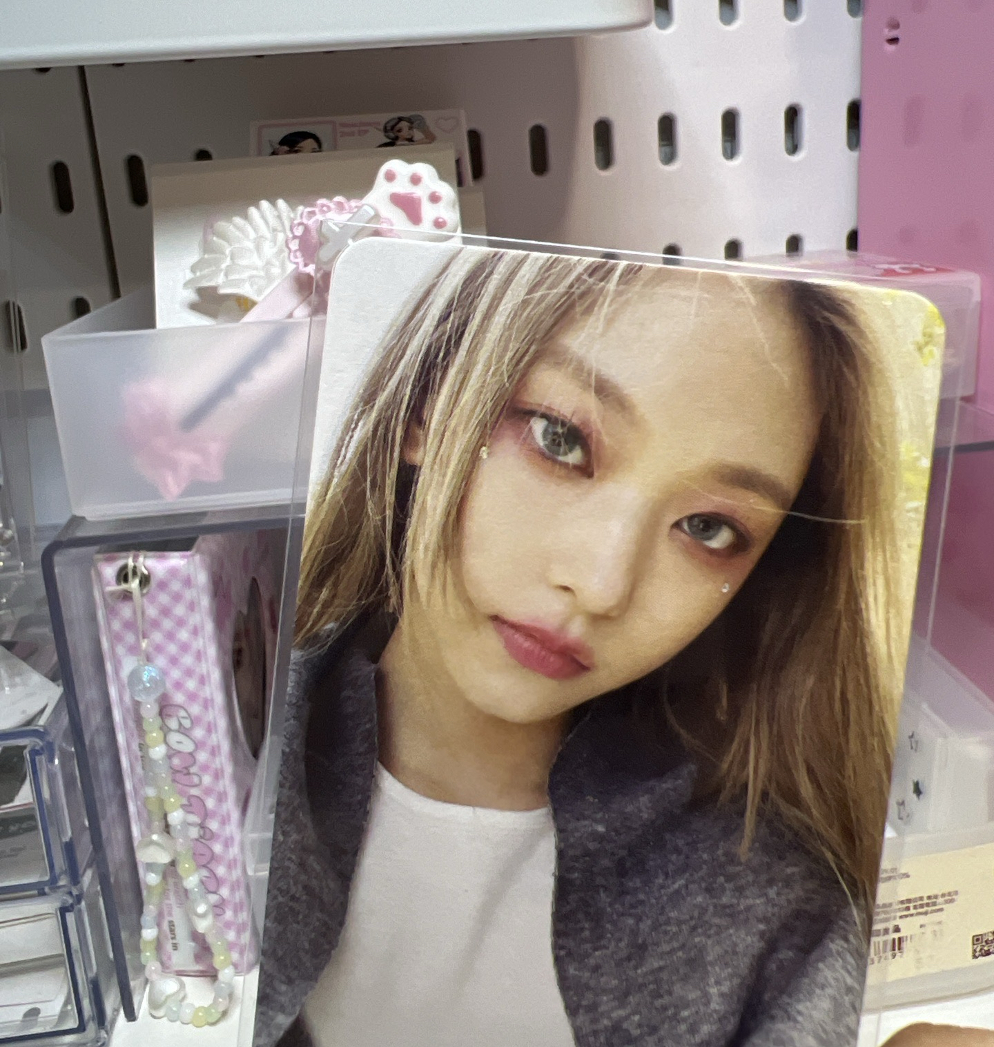 （可當多帶）貓