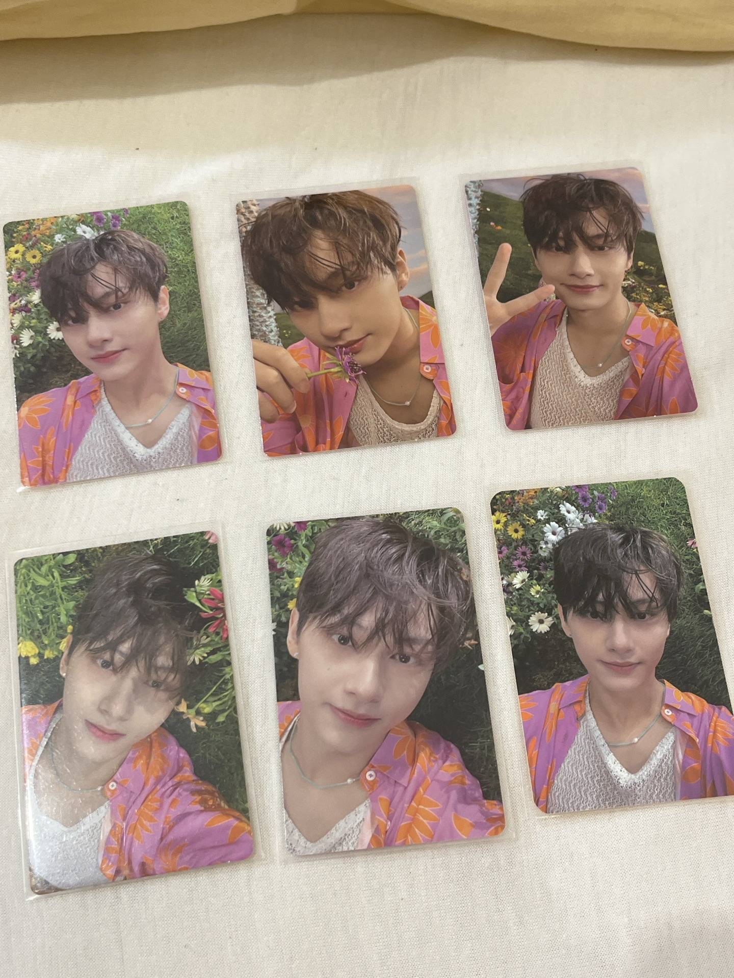 正四後續專卡+特典