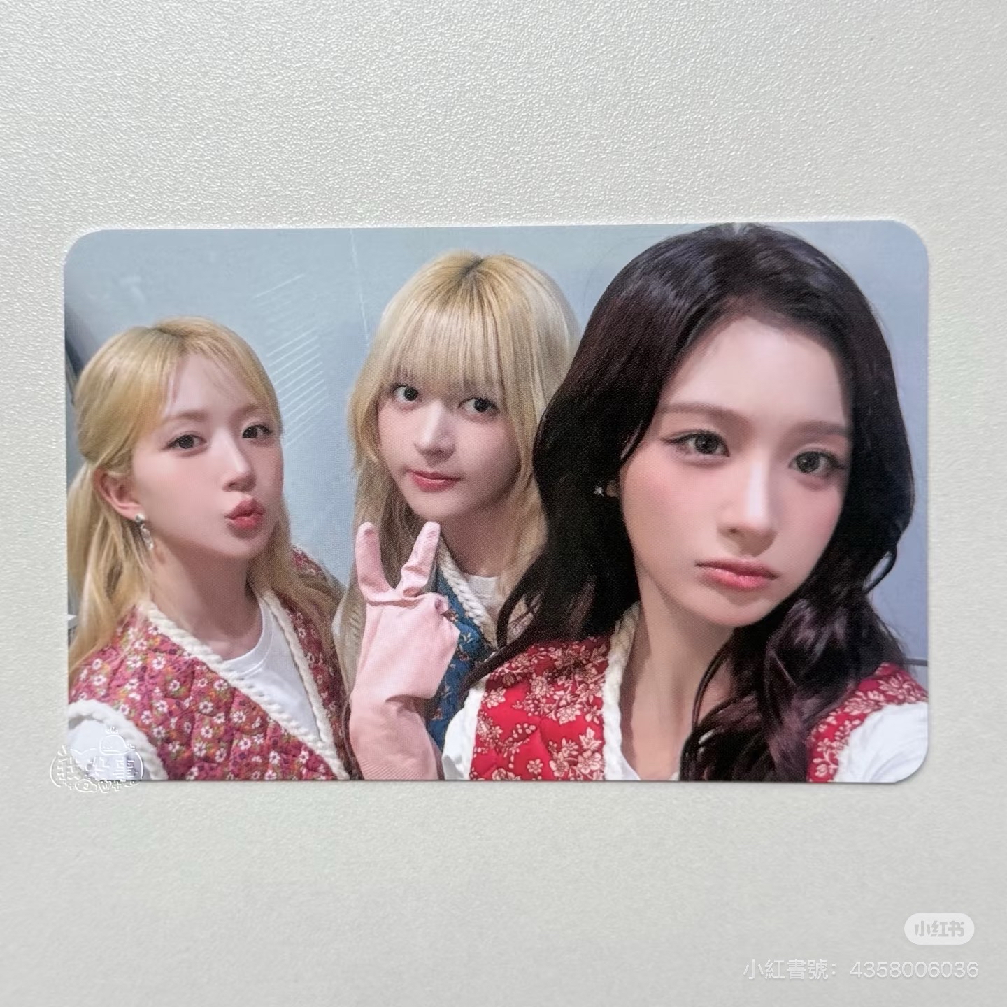 泡菜分隊 莉嫄薛