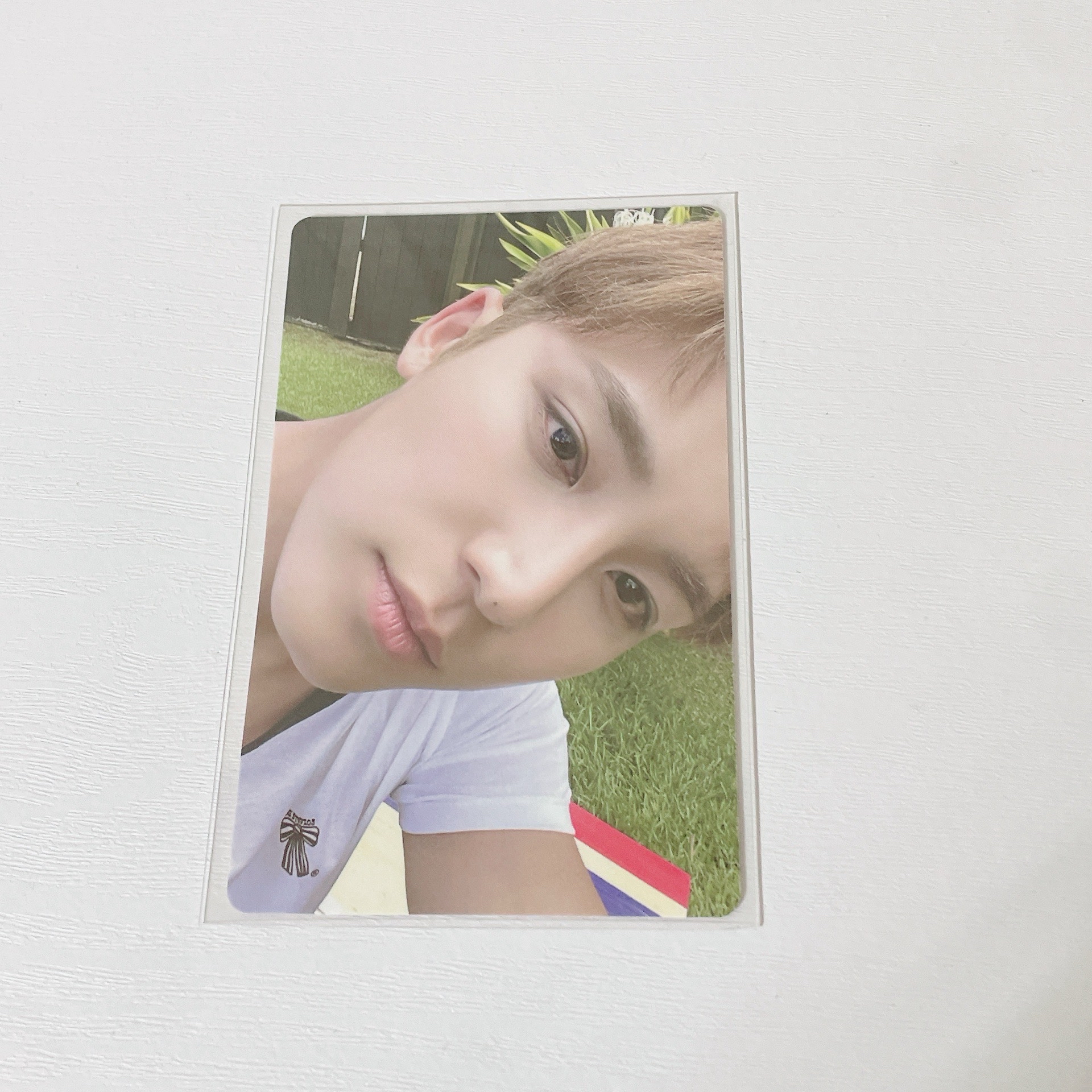 金珉奎草地歪頭燦笑小卡