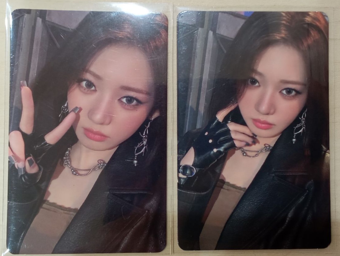 茶 預售禮 專卡