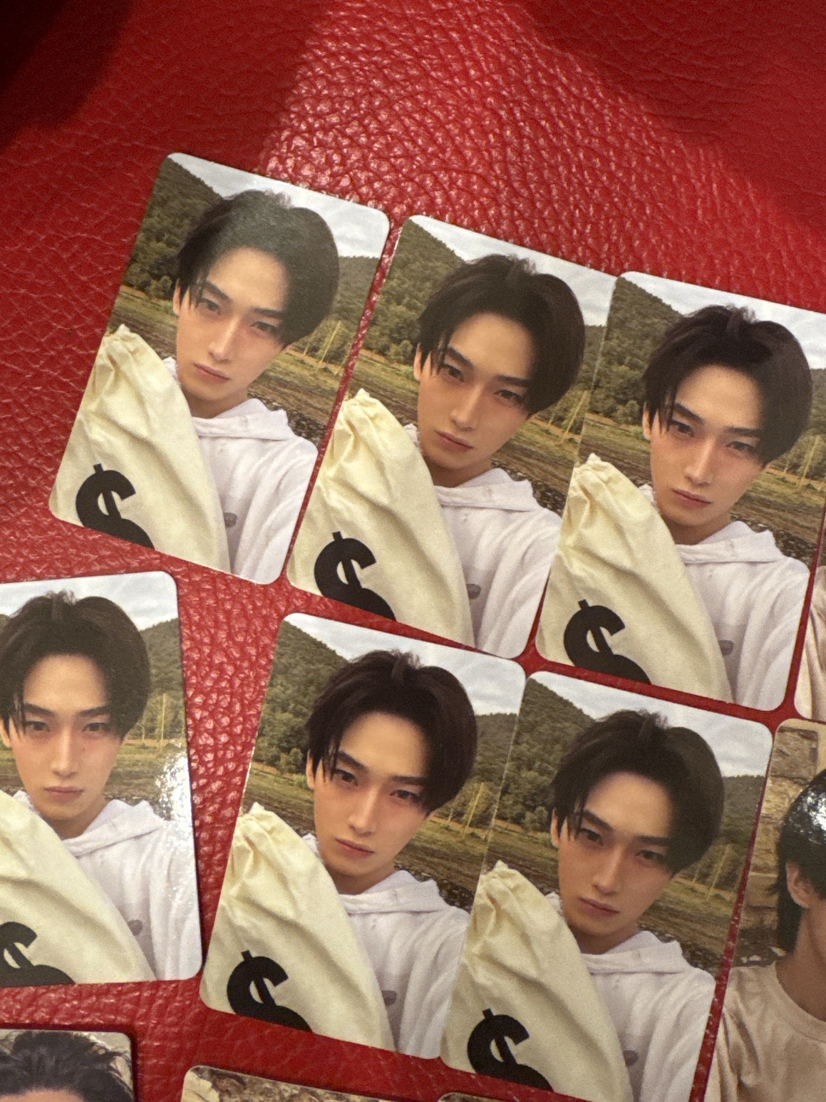 ENHYPEN 善禹 迷七 單封 隨卡B 專輯卡 