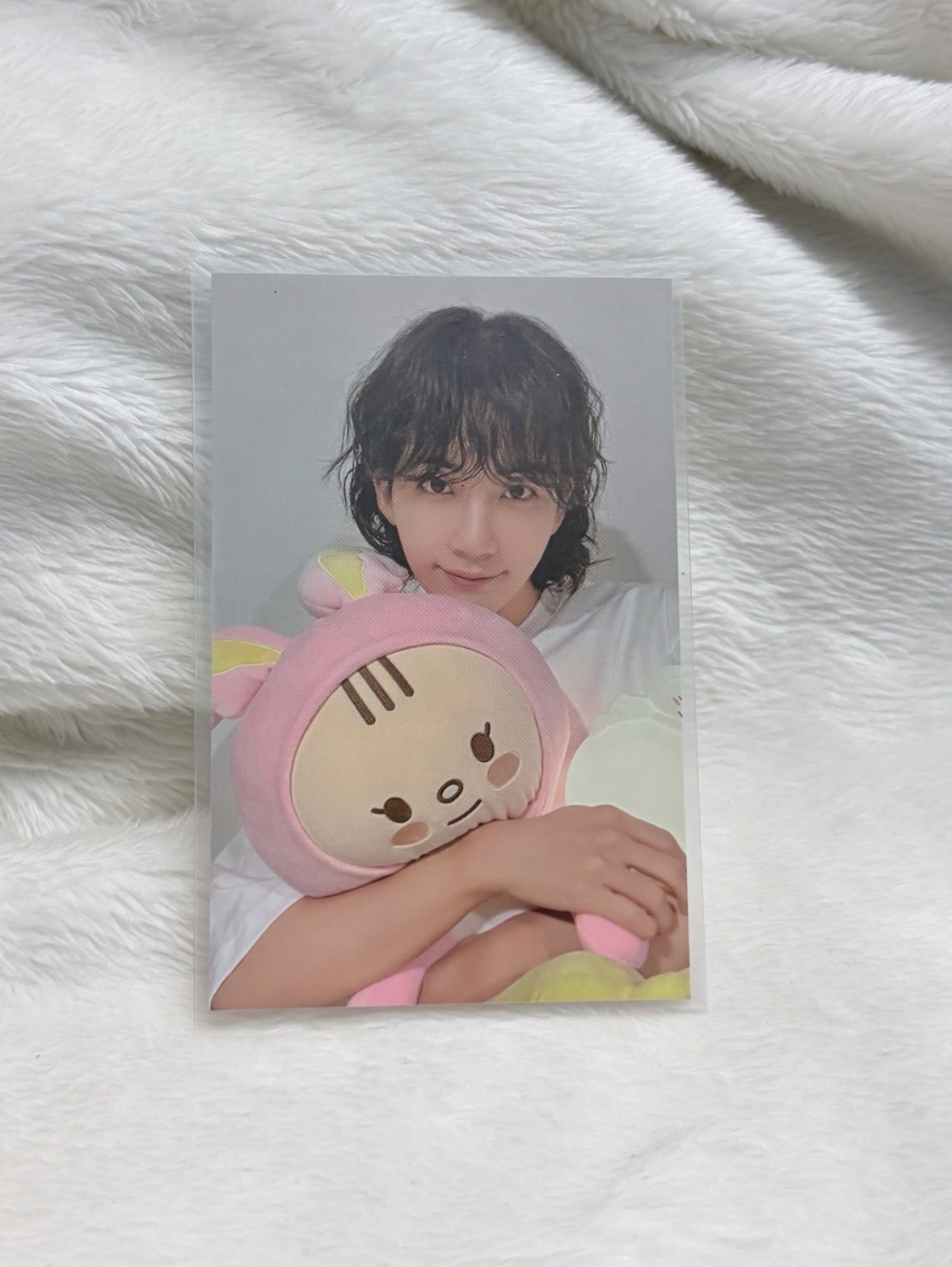 淨漢 兔鼠周邊卡