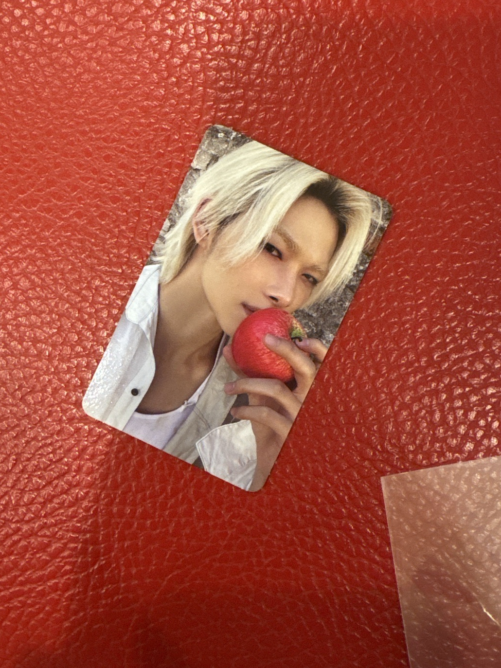 ENHYPEN NIKI迷七 單封 隨卡A 專輯卡 