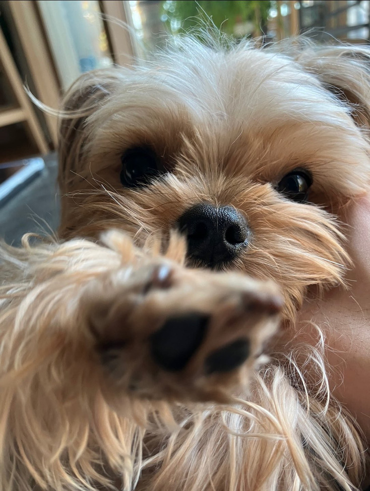 J7（下單前麻煩先看我主頁）