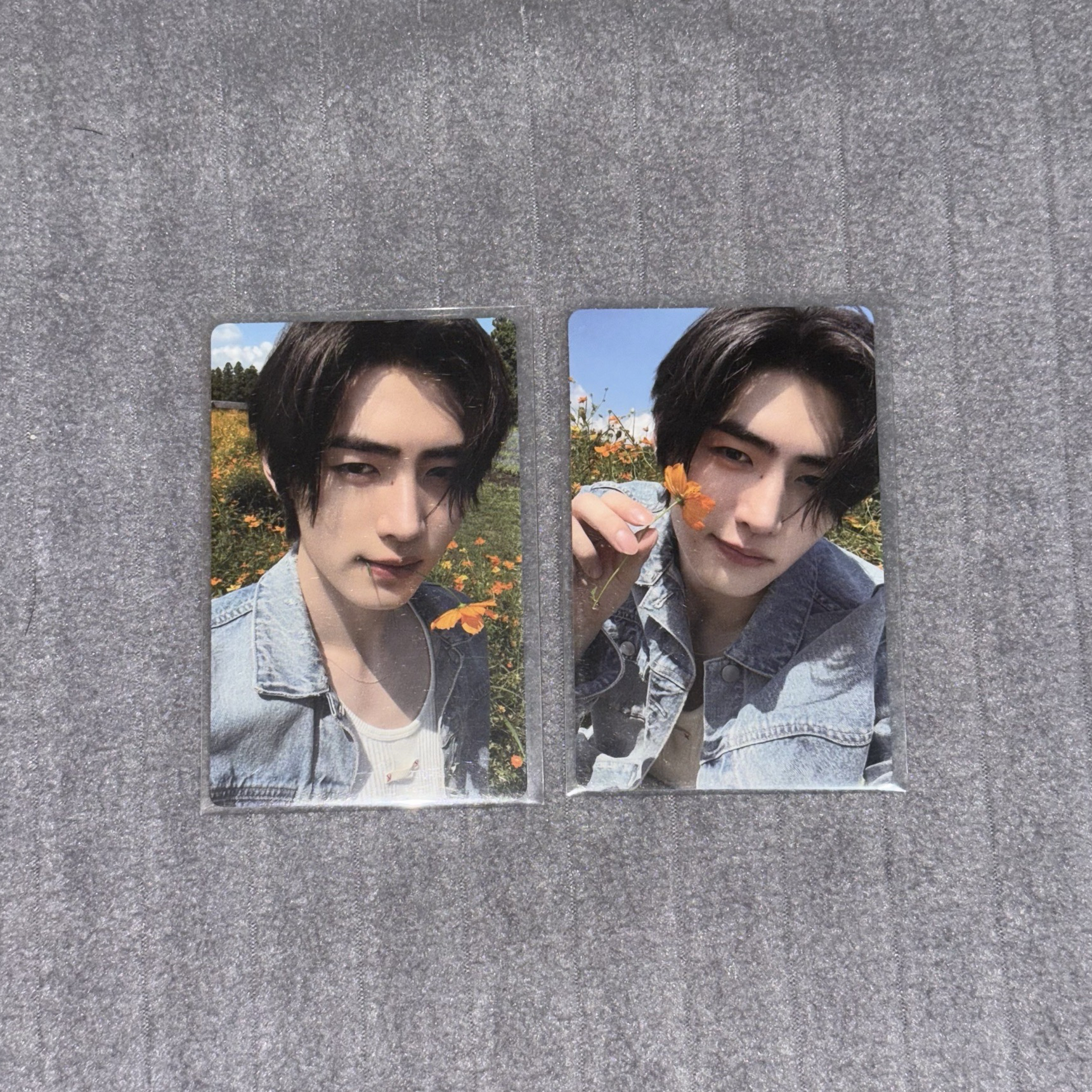 ENHYPEN 成訓 迷五 專卡