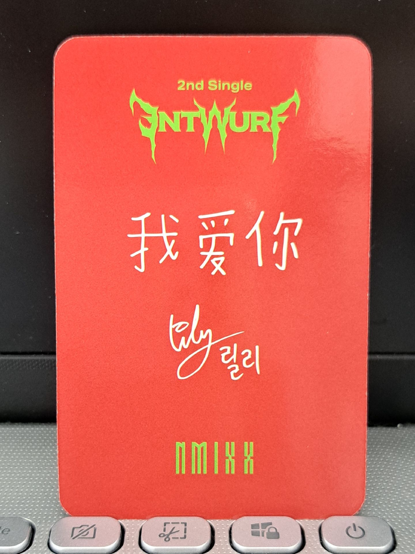 ENTWURF 星河莉 我愛你