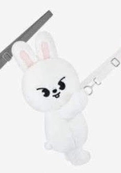 安可場側背娃 李畢