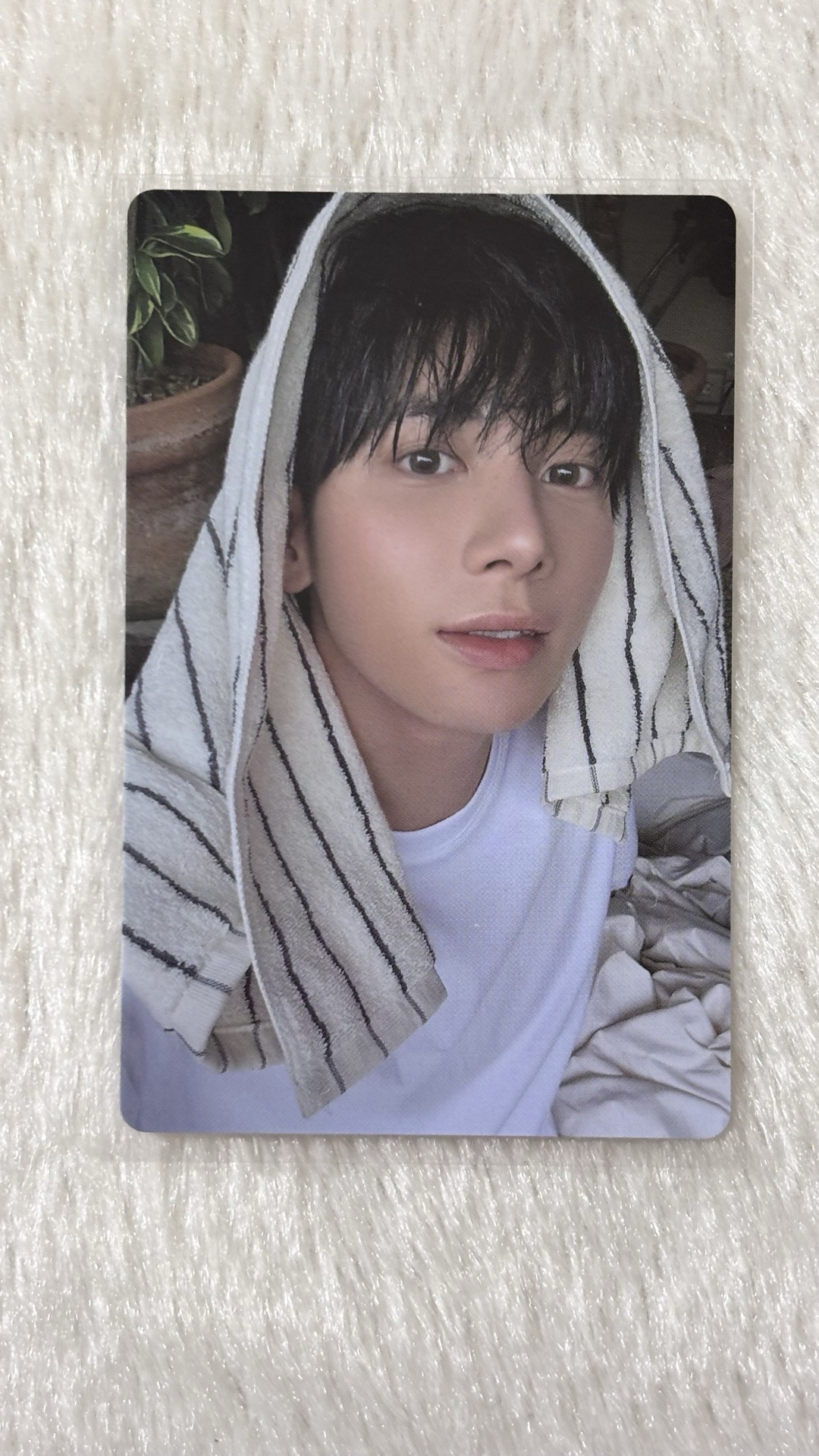 咪的天～🐱💖