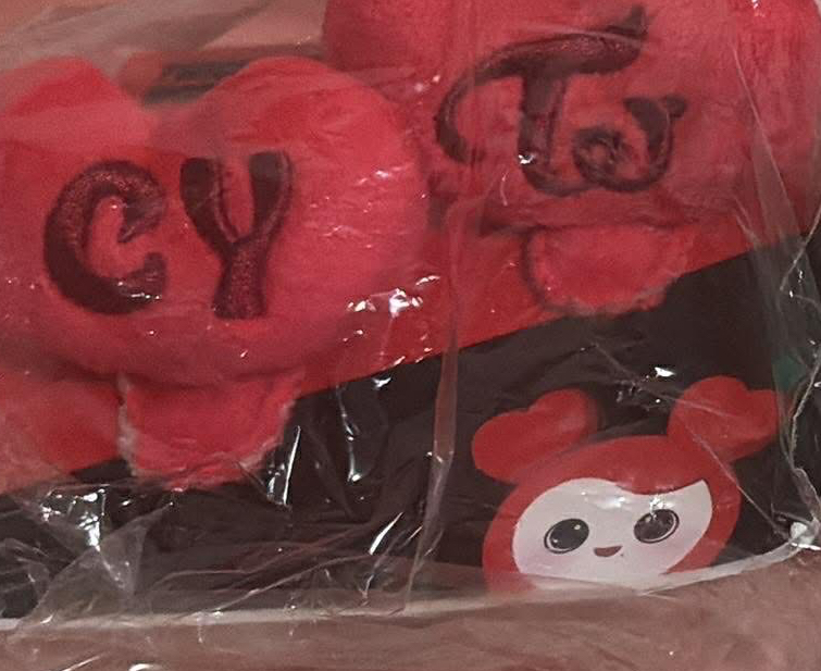 日巡髮夾 彩瑛🍓