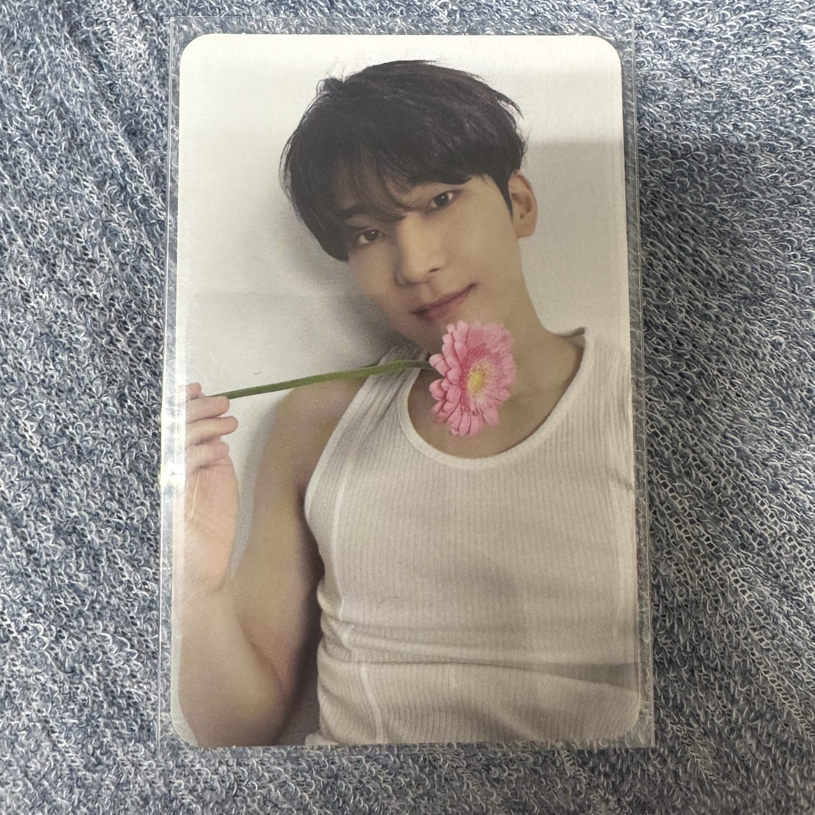 精選專 克拉盤 拿花 圓佑