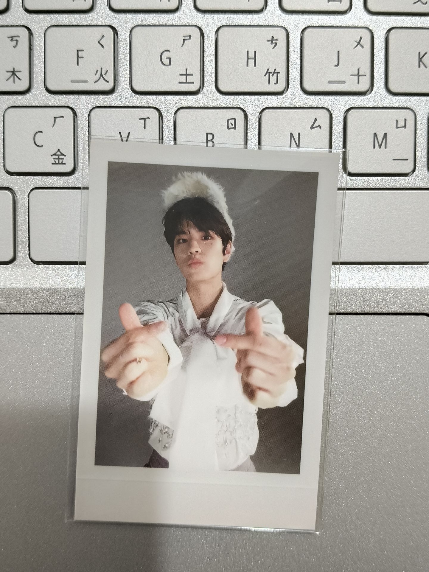 懵懵MAXIDENT專卡