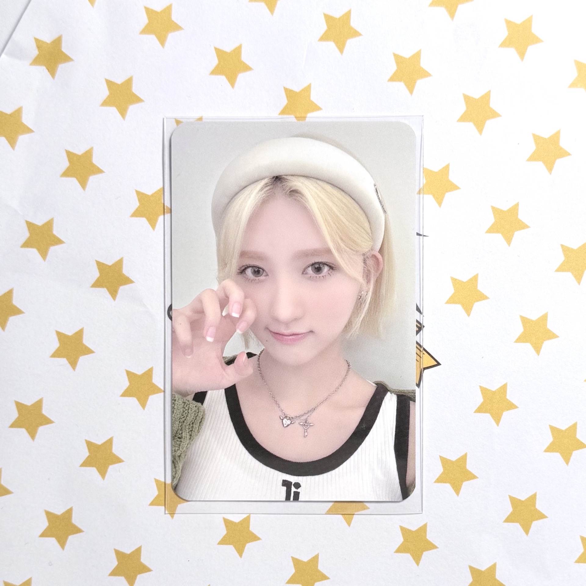 🍥金毛小貓秋天