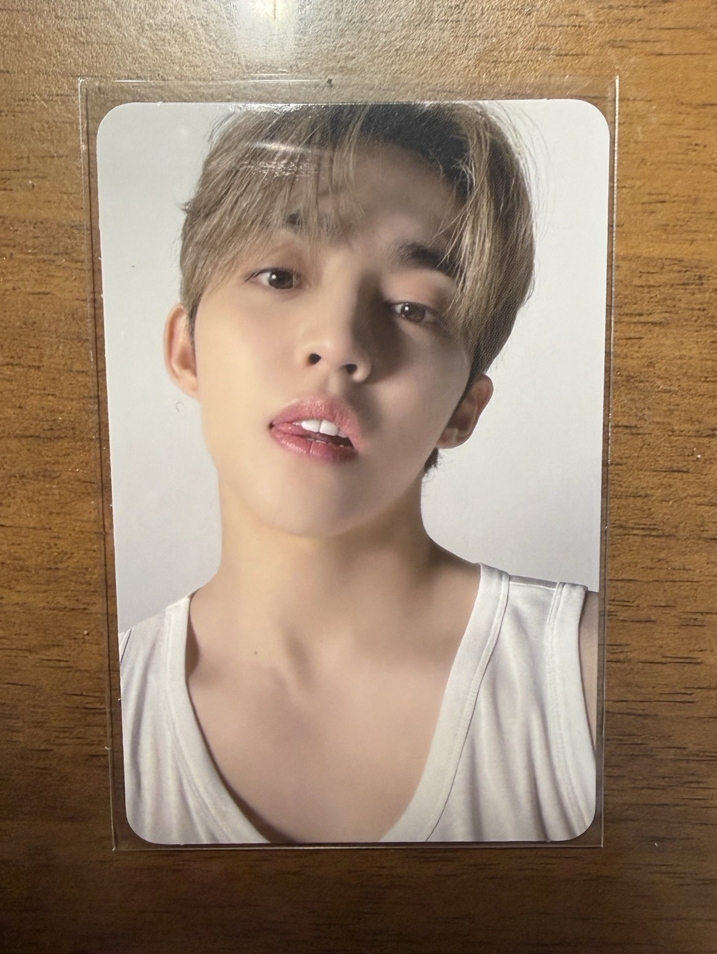 Scoups 精選 專卡 CARAT VER