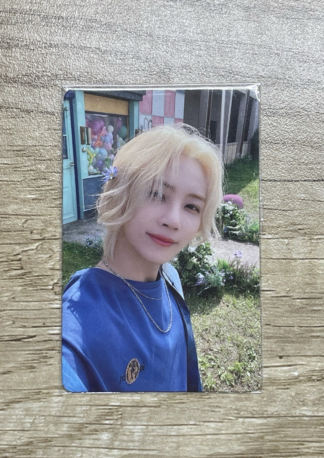 svt 淨漢 一直娛 戴花淨（需綁）