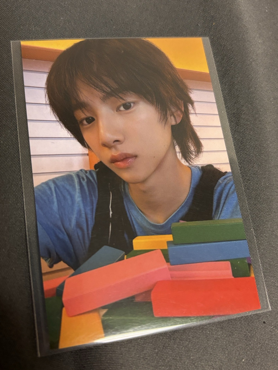 26年曆wvs特典訓