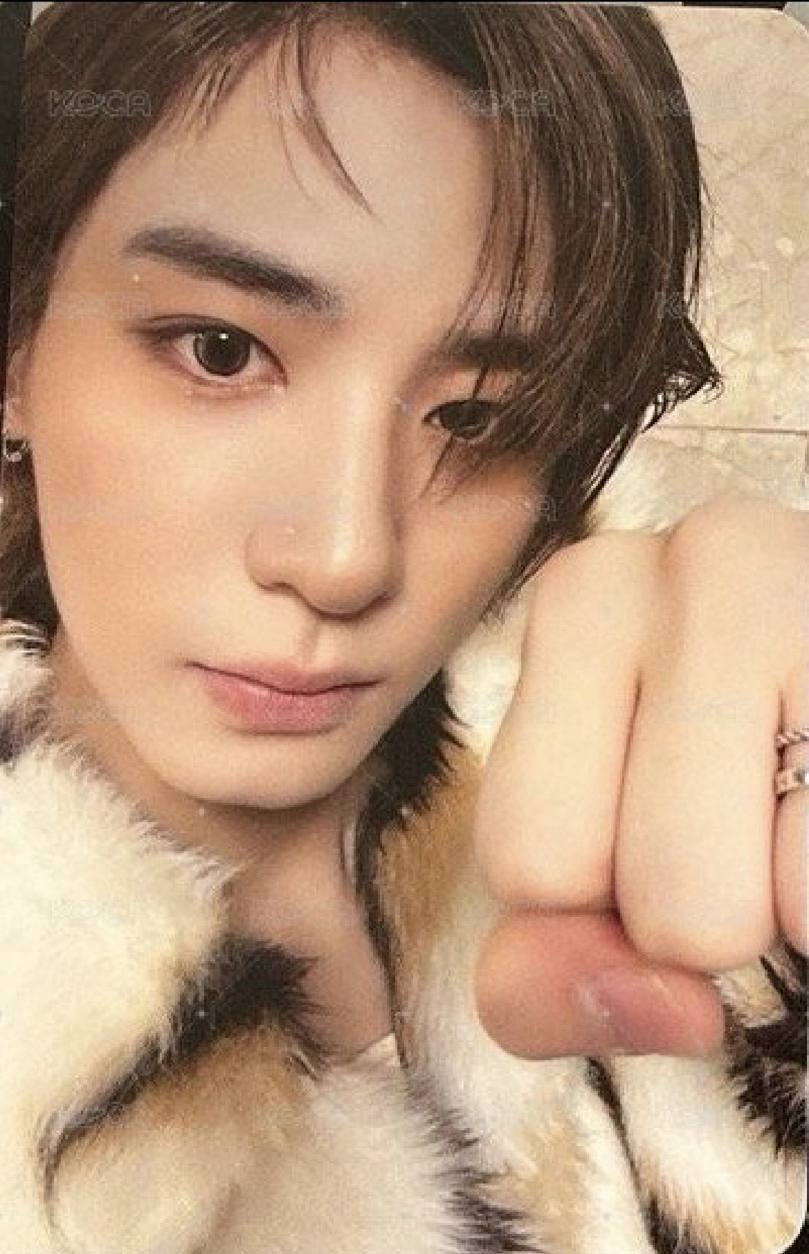 The Action 專輯卡 Pause Ver.