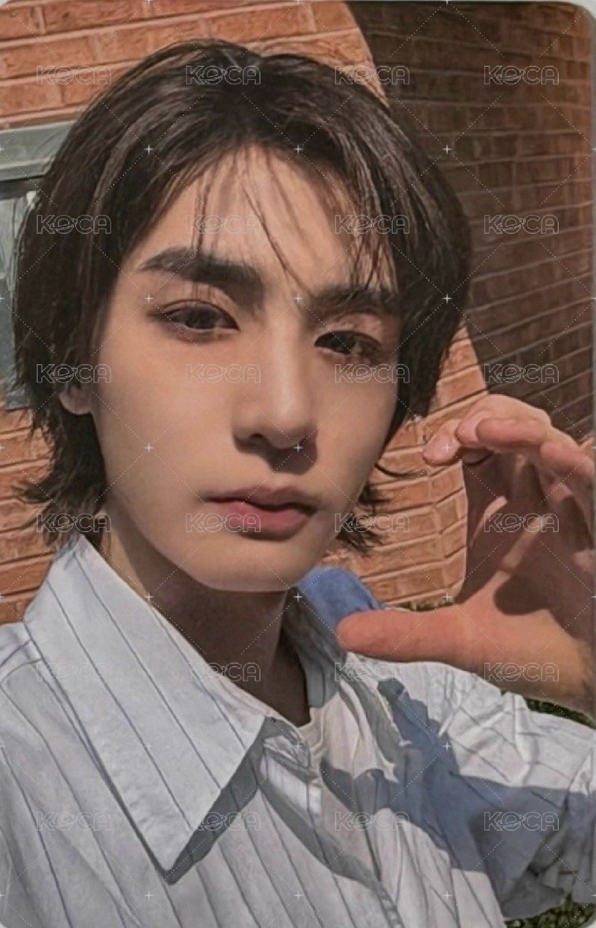 The Action 專輯卡 單封版