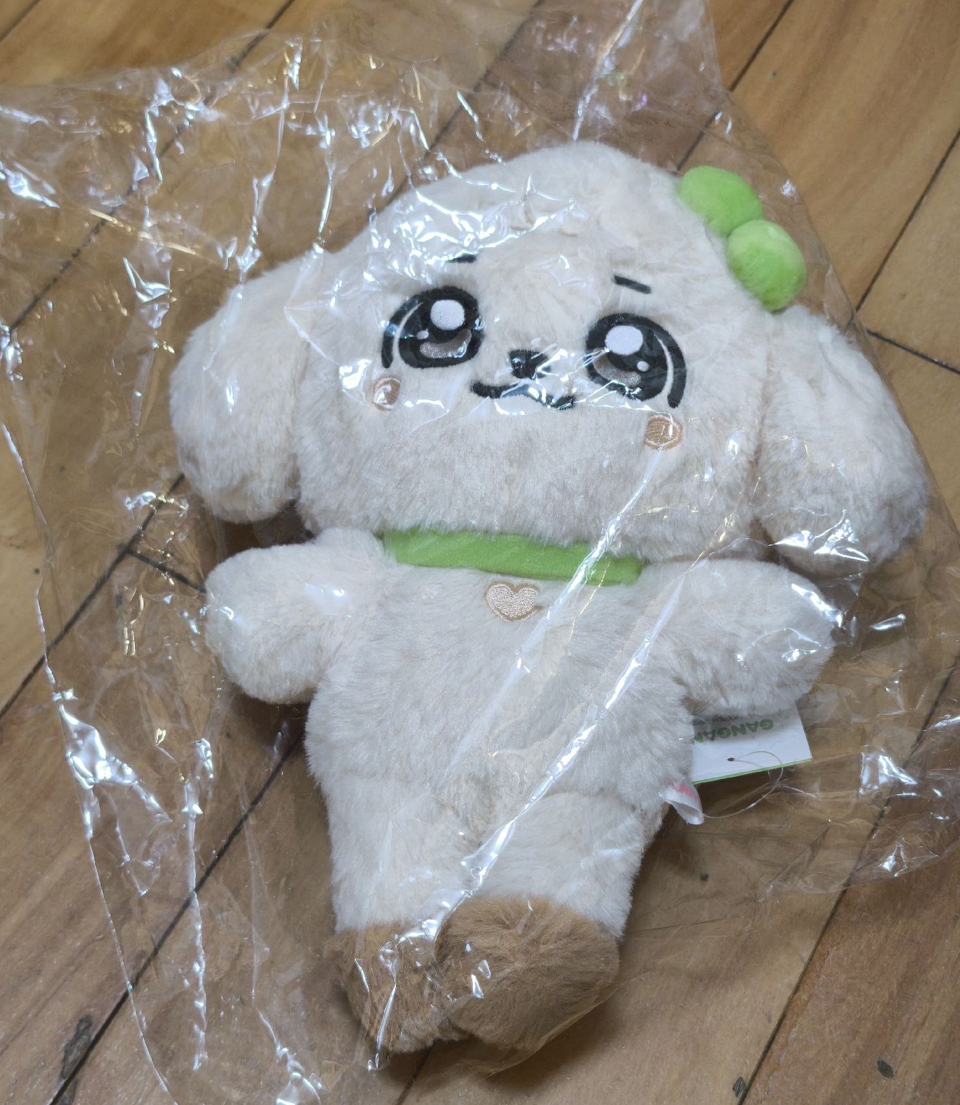 安俞真30公分娃