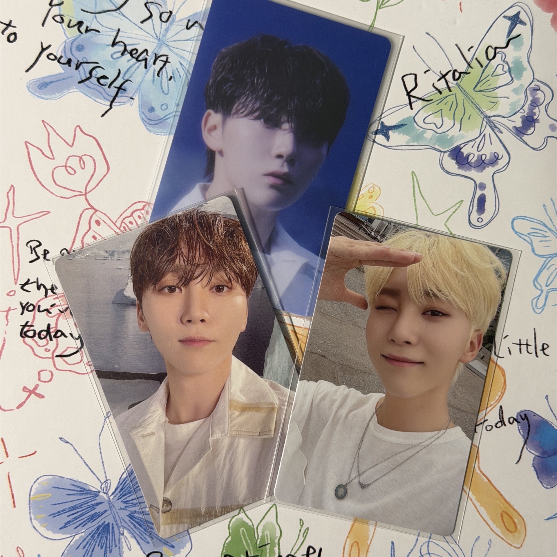 寛 正四後續 wvs電子專