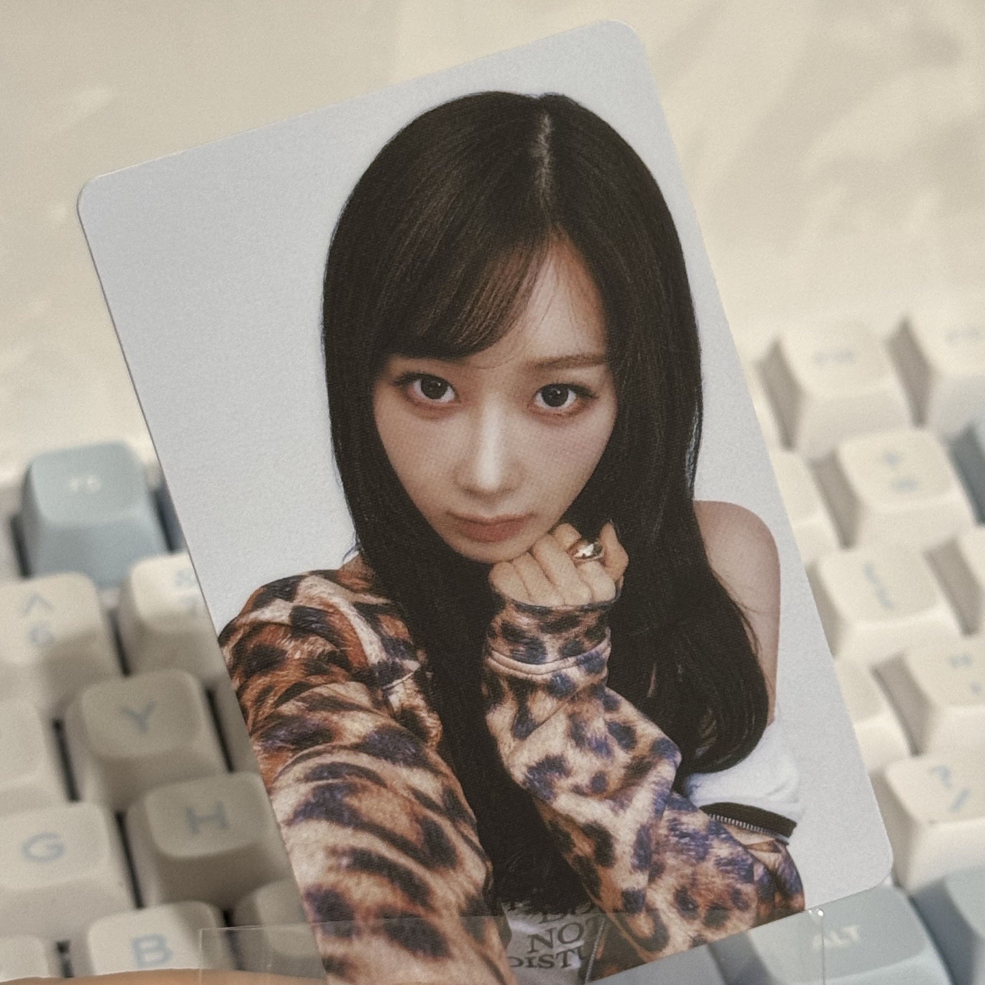 ☆現貨♪日巡隨機卡_吉