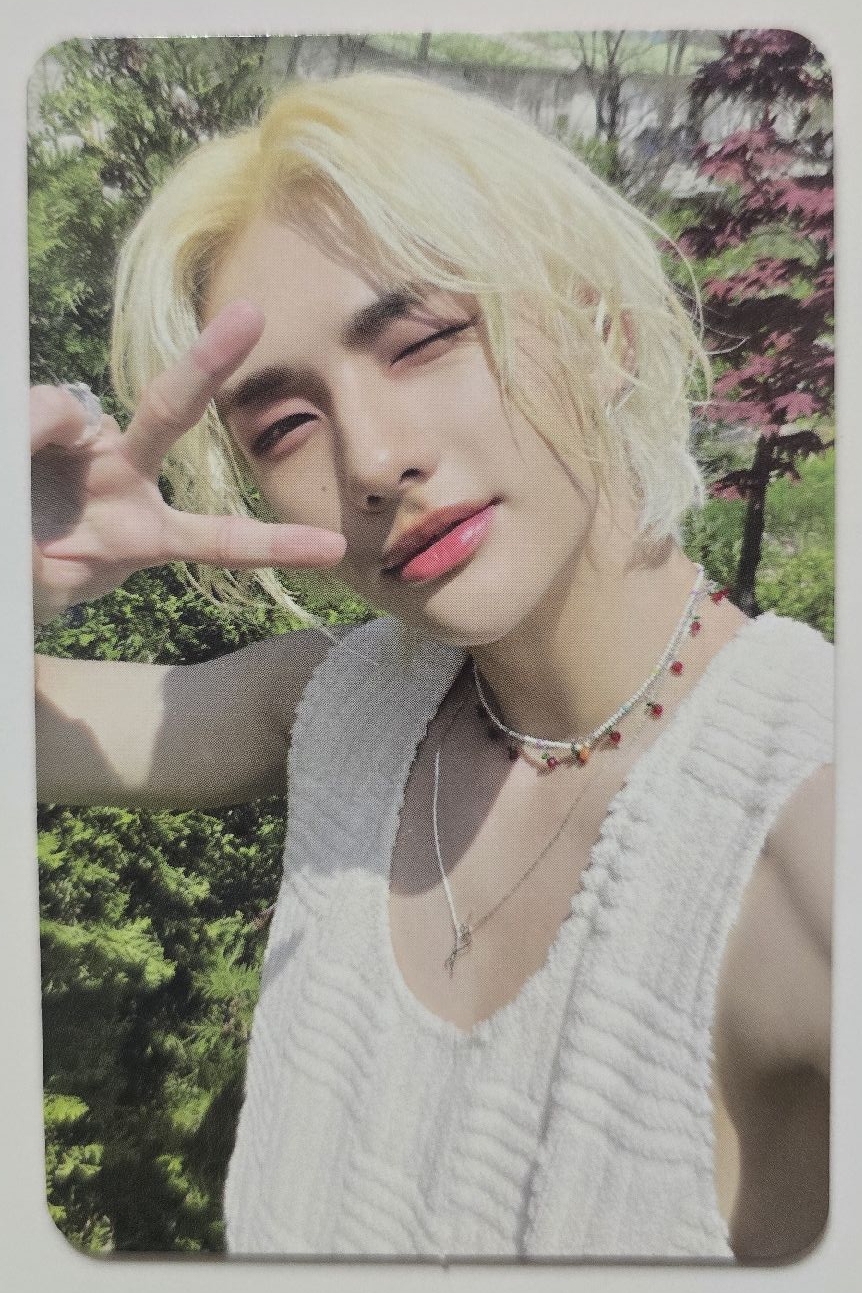 MAXIDENT 專輯卡 T-Crush ver.辰