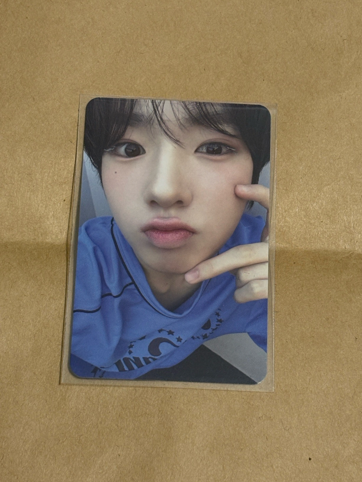 SAKUYA好萌的一隻我要哭了呀