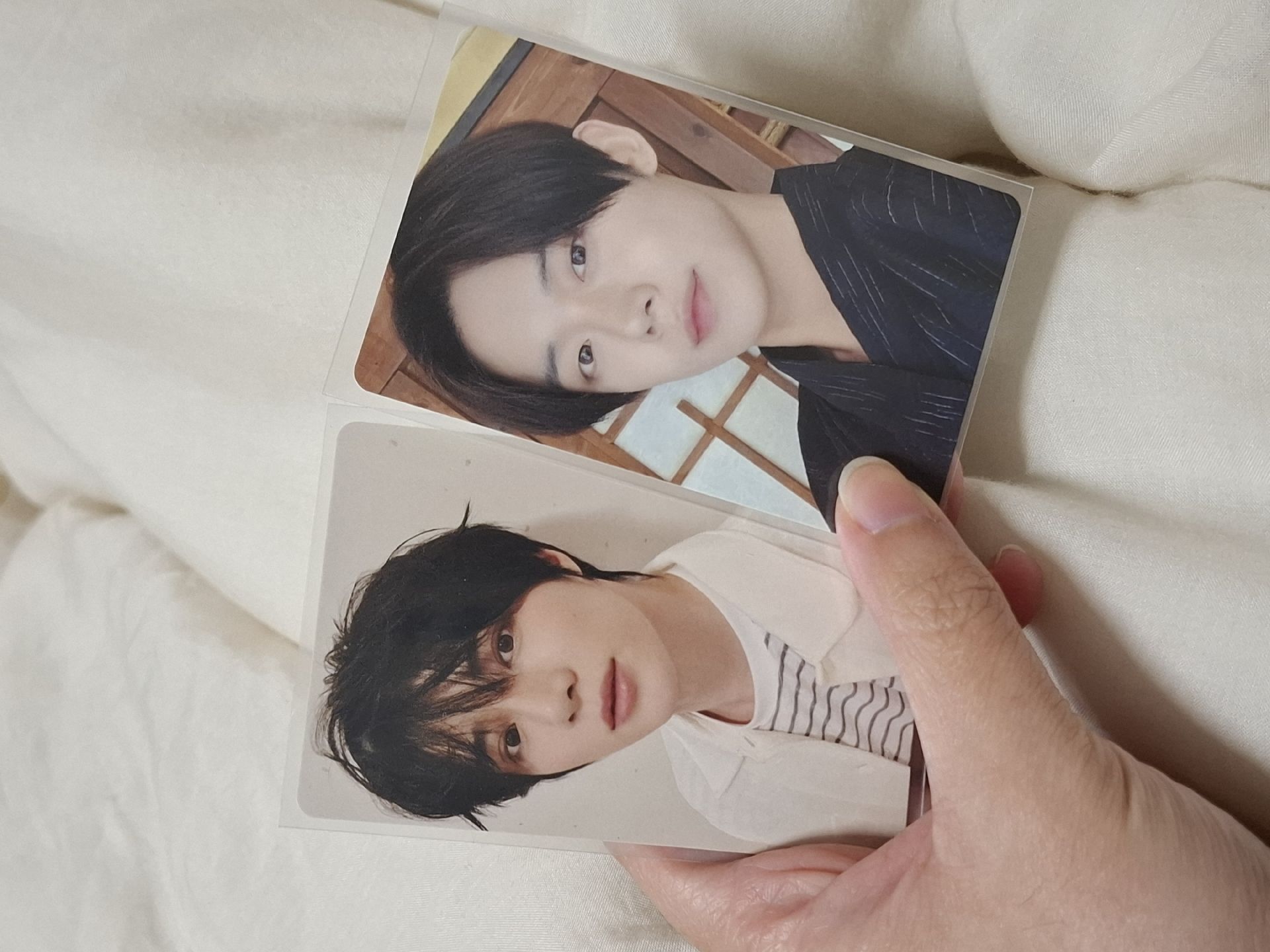 夏日卡包竣圭🐶🦊