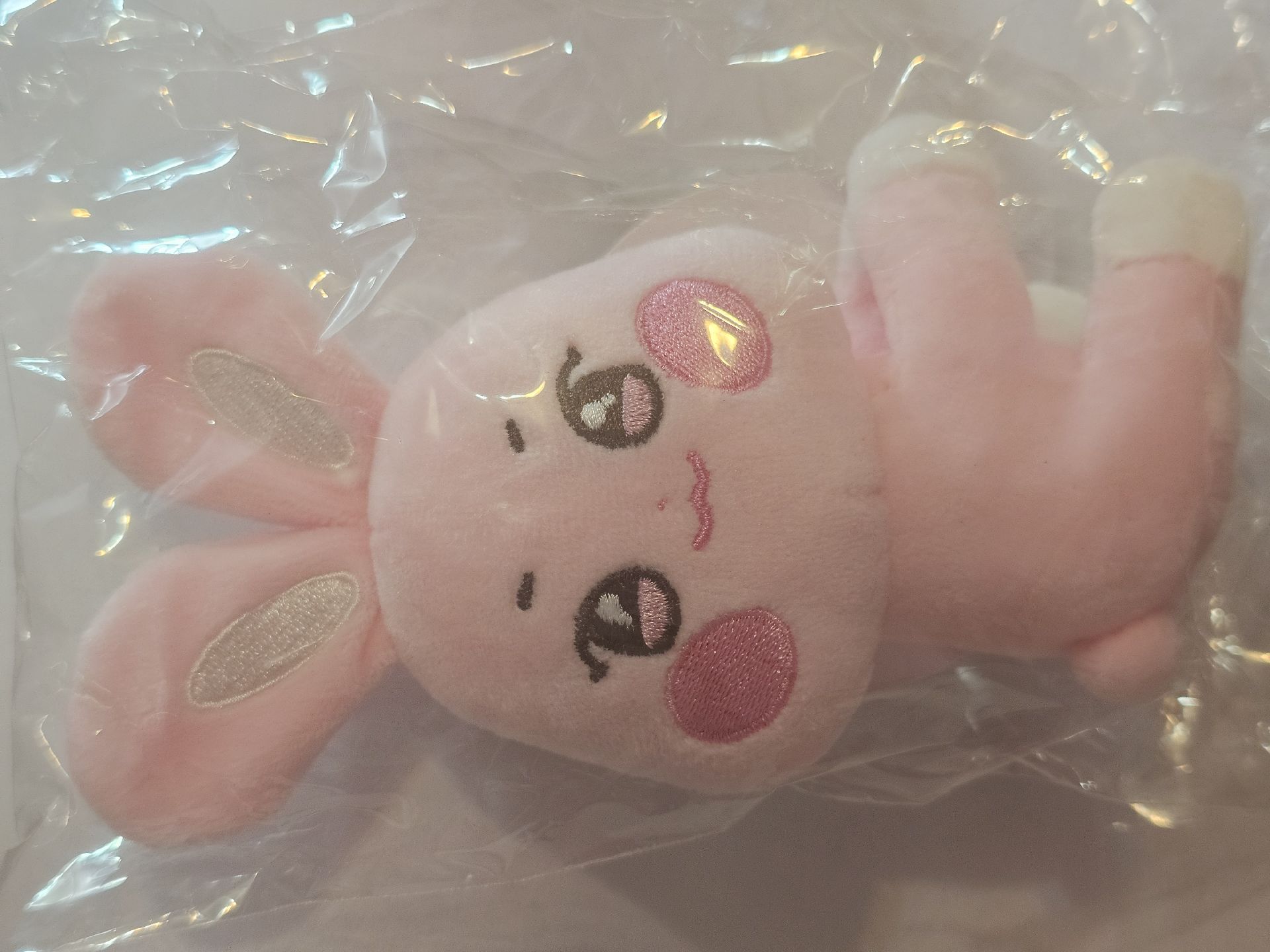 咚星抱抱娃（無卡）