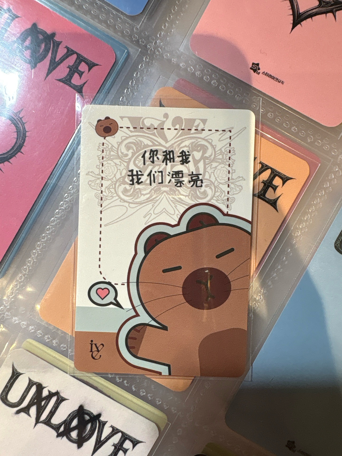 ｛需綁本賣場$500｝一直娛卡皮巴拉員《你和我們漂亮》