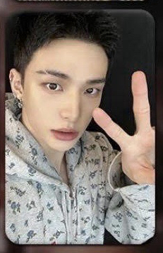 辰（需1:1帶其他成員）