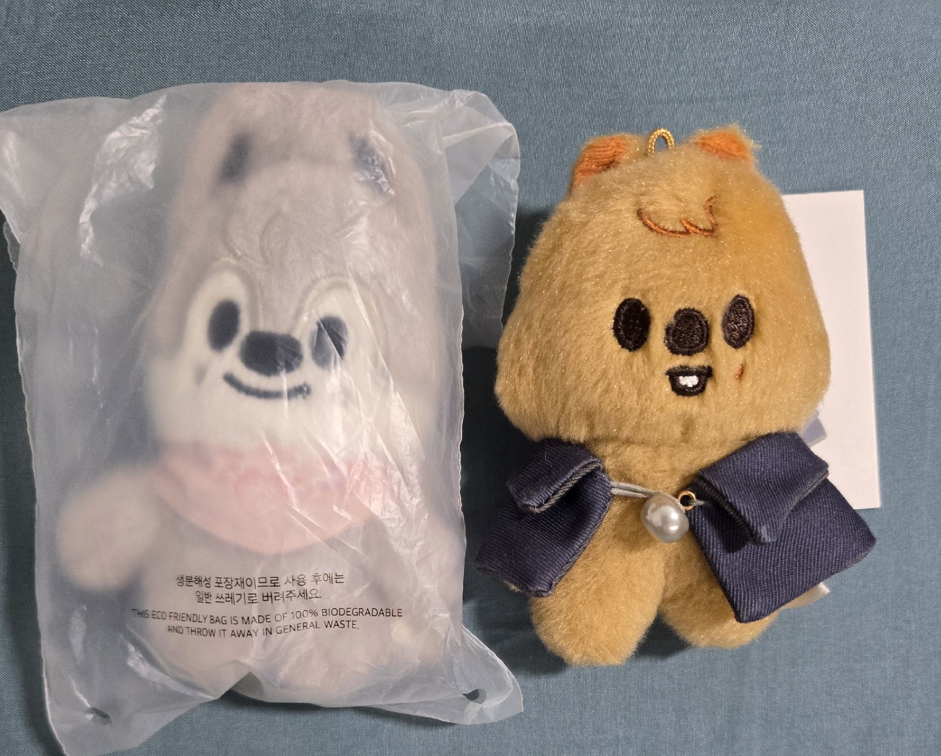 燦豆豆眼 全新未拆