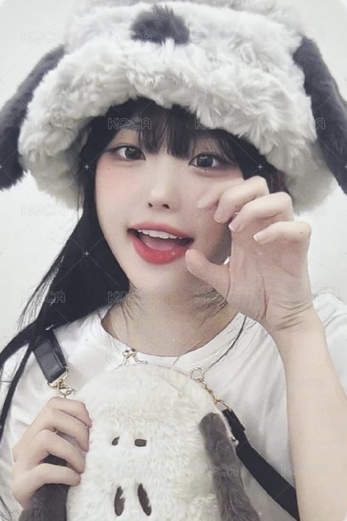 小狗帽娜（3/15後出貨）