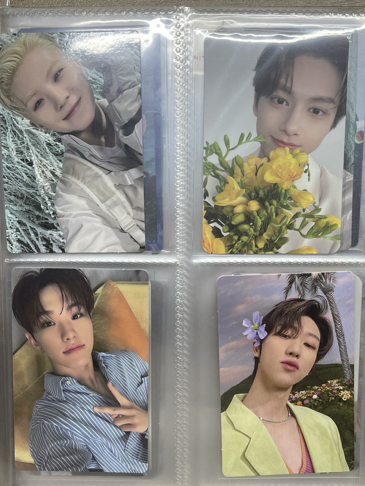 svt專卡/特典卡出清