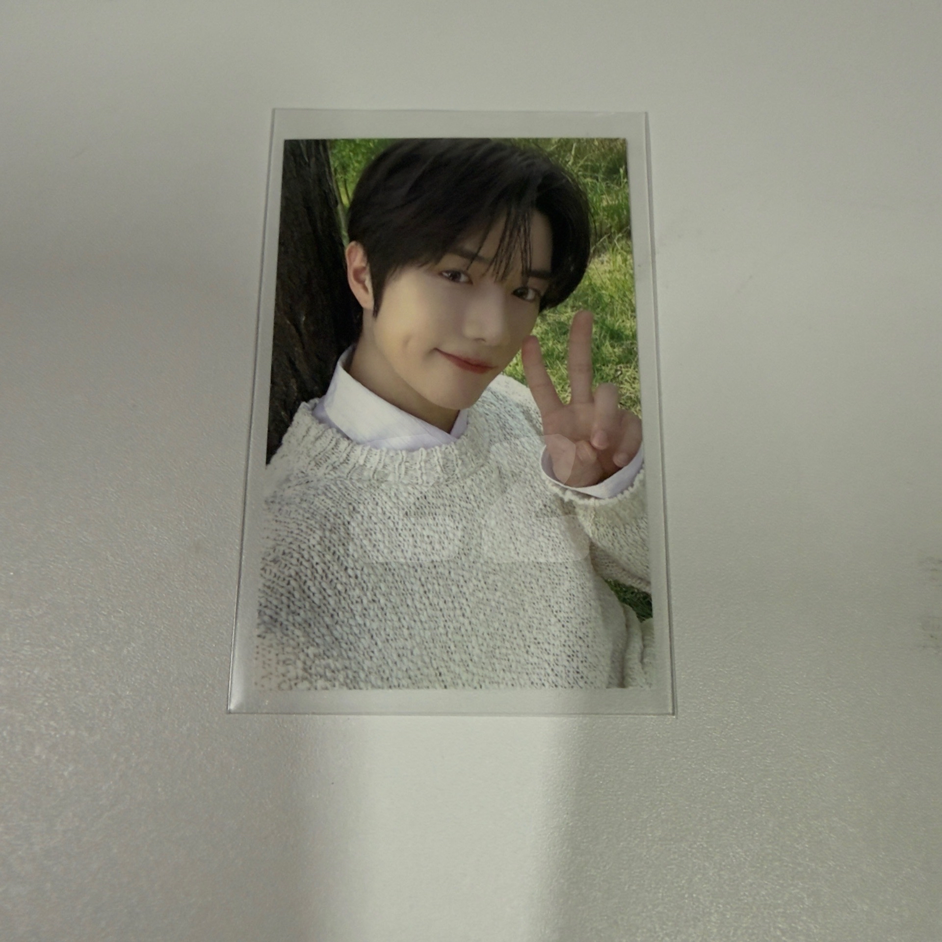 杋圭（台北場粽卡）