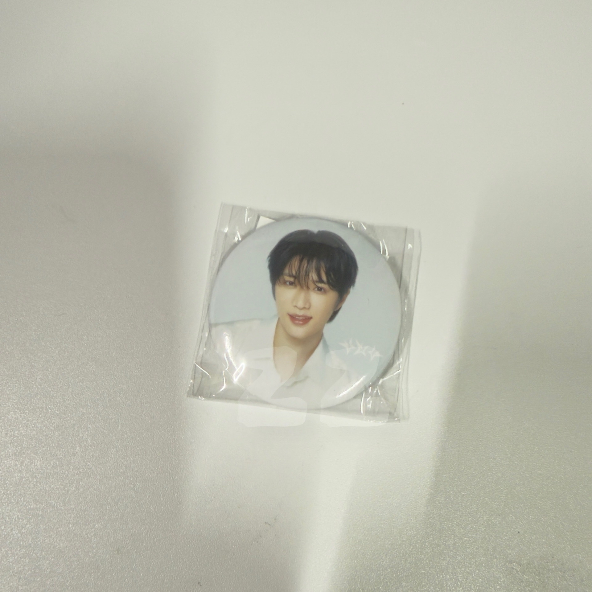 杋圭（日巡徽章）