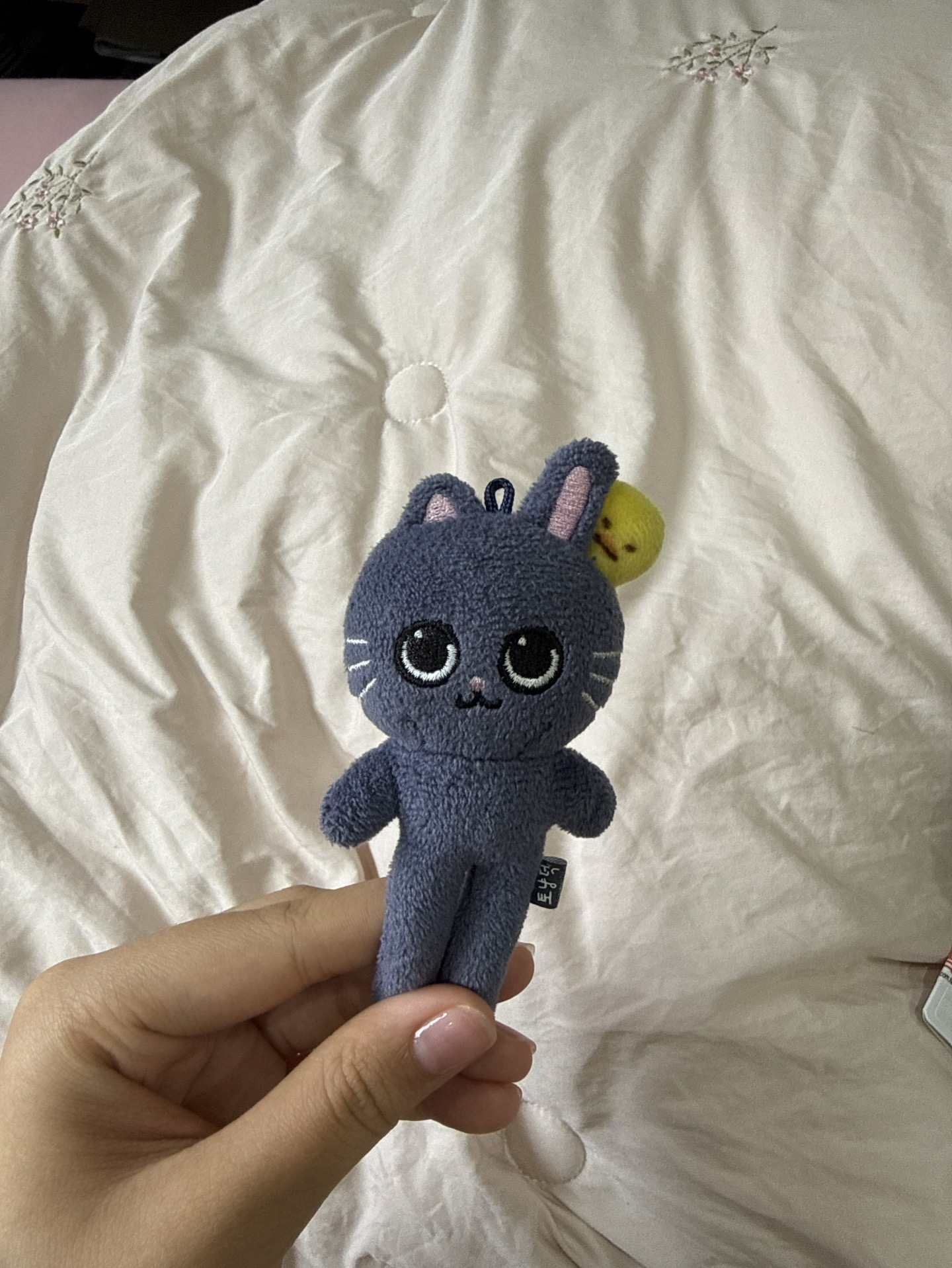 長腿兔貓鴨🈚️原盒 需綁450