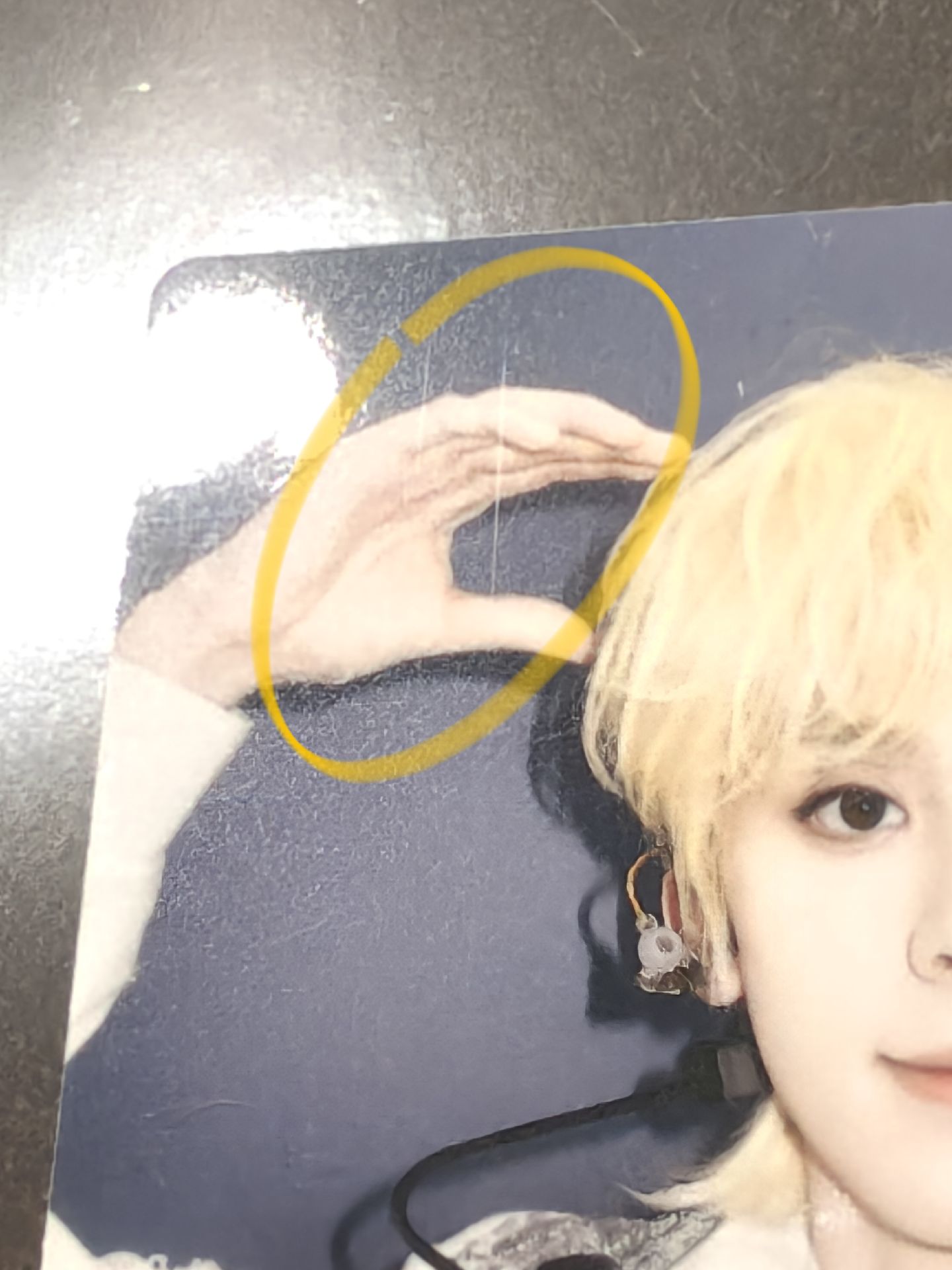 無所畏計划 左航專輯卡 