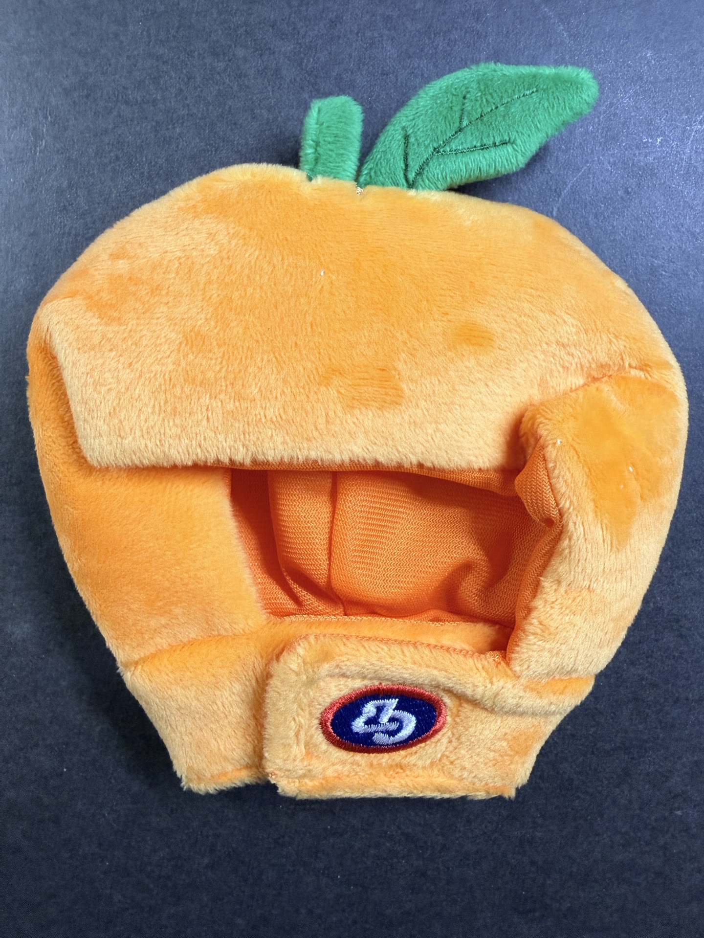 朴寶劍 FOREVONG 二代應援手燈、手燈套