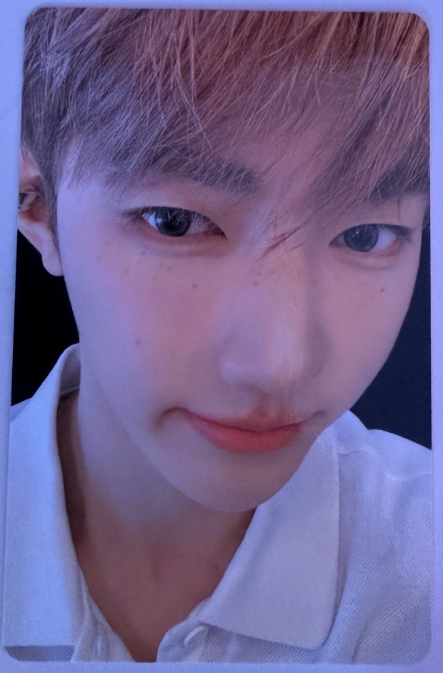 ZB1 迷三 專卡 小卡 章昊 ZHANGHAO