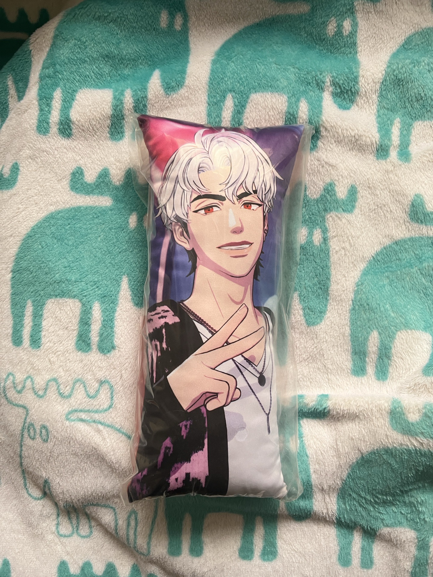 why? 小抱枕 銀虎