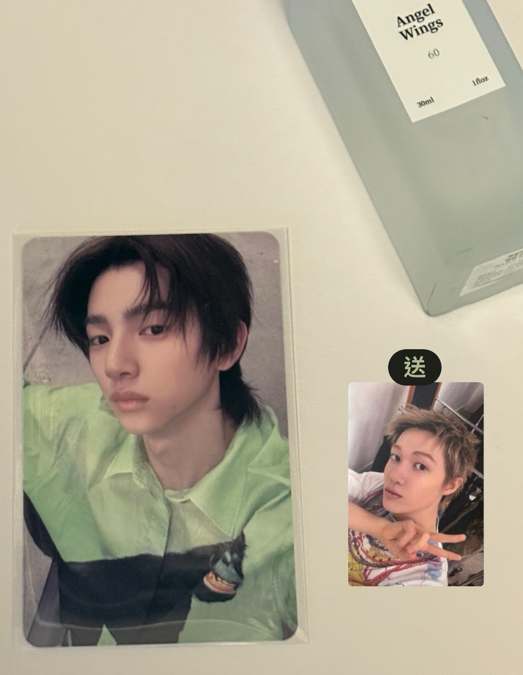 媽咪！帶我回家 我是豬豬啊⋯