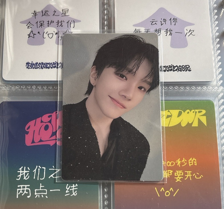 19.99 wvs幸運卡 雲鶴